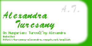 alexandra turcsany business card